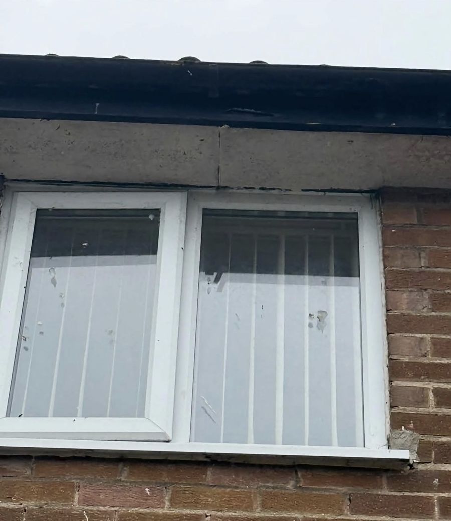 White window with bird mess on the glass before cleaning